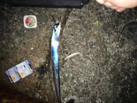 太刀魚釣行　渋い。